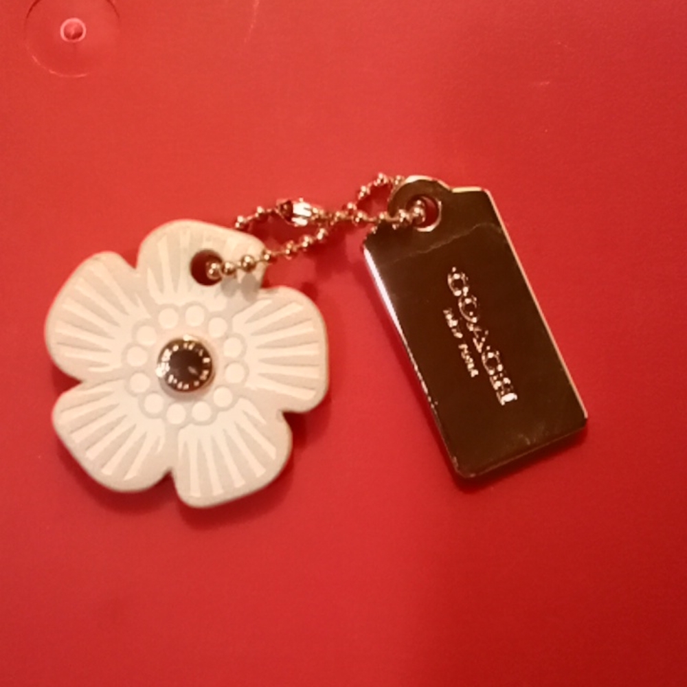 Small Pink COACH Keychain